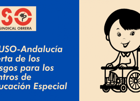 FEUSO-Andalucía denuncia que la nueva ley educativa pone en riesgo los centros de Educación Especial