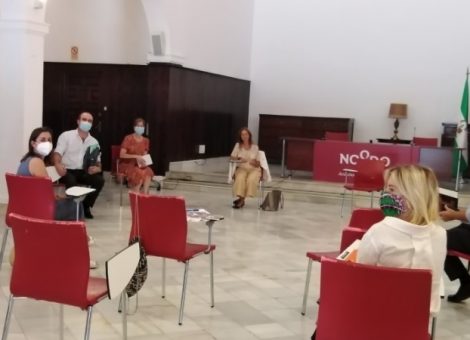 USO-Andalucía, en la reunión de trabajo de la Mesa de Empleo del OPIS. Sindicato USO-Andalucía