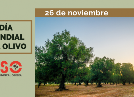 Día Mundial del Olivo: vital en nuestra tierra, vital en nuestra industria y nuestro empleo
